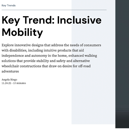 Image of the Inclusive Mobility article.