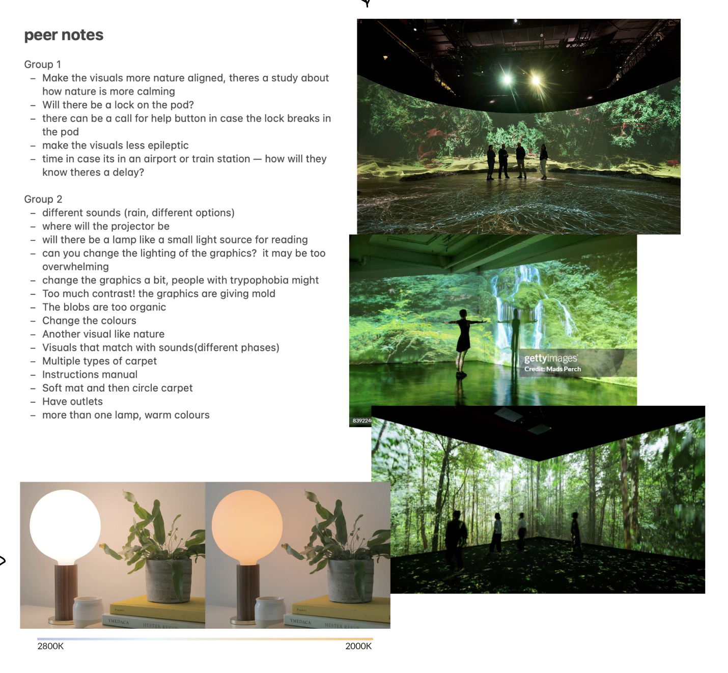 We also did extra research after taking notes from our peers.