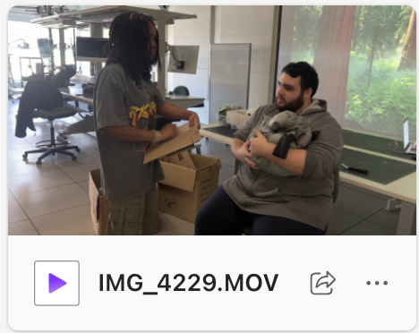 Lorem ipsum dolor sit amet, consectetur adipiscing elit